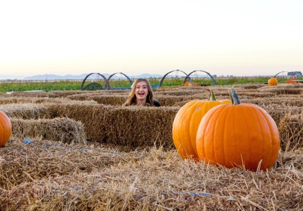 fall-plaid-pumpkin-head