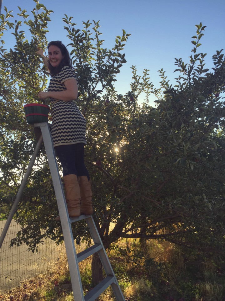 Fall bucket list: Farm fresh apple picking!