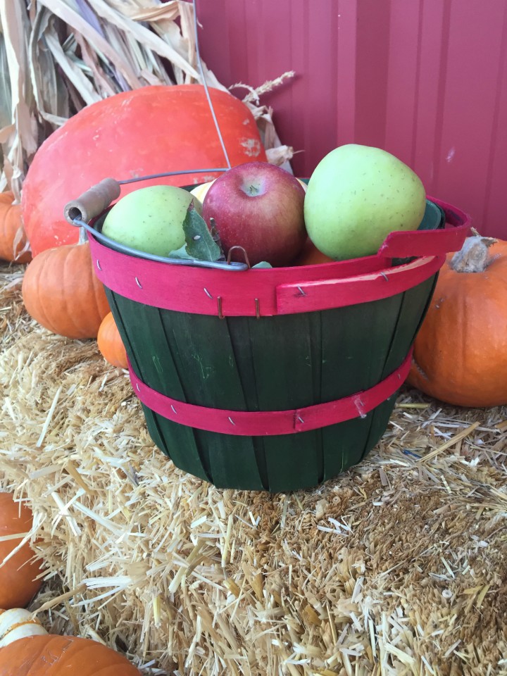 Fall bucket list: Farm fresh apple picking!